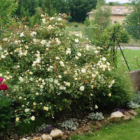 Acaba D'entrar לינה וארוחת בוקר