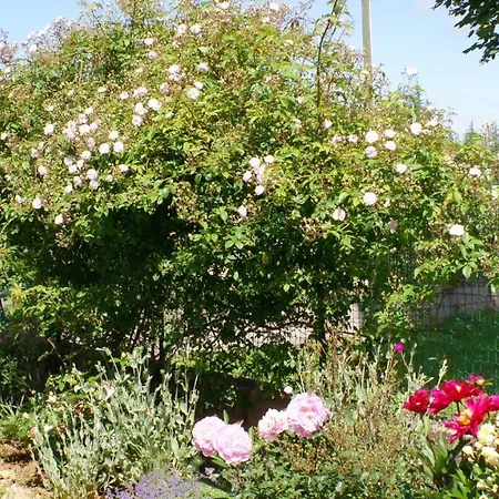 Acaba D'entrar לינה וארוחת בוקר