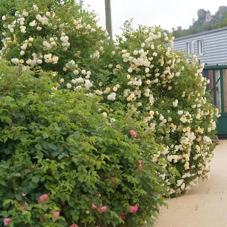 לינה וארוחת בוקר Acaba D'entrar 3*