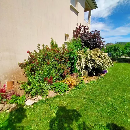 Acaba D'entrar לו קלאר