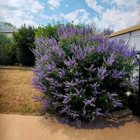 Acaba D'entrar לינה וארוחת בוקר לו קלאר