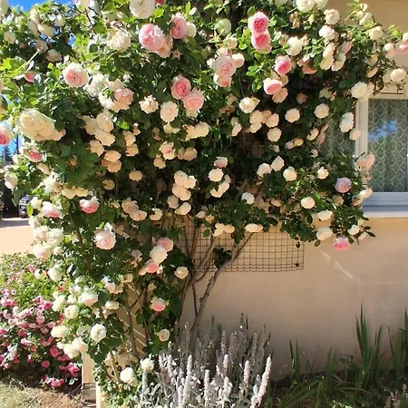 Acaba D'entrar Bed & Breakfast Le Caylar