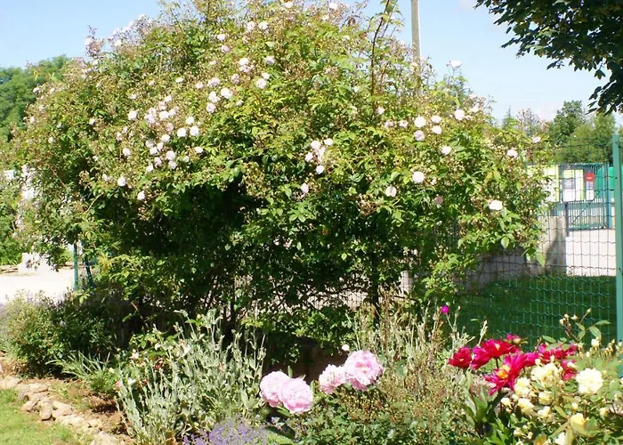 Acaba D'entrar Bed & Breakfast
